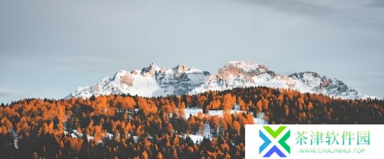 2025年5月4日命运方舟生活技能赚钱效率分析~哪些技能更值得选择&