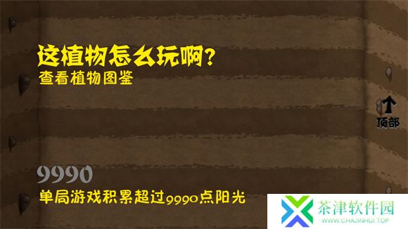 植物大战僵尸自然版
