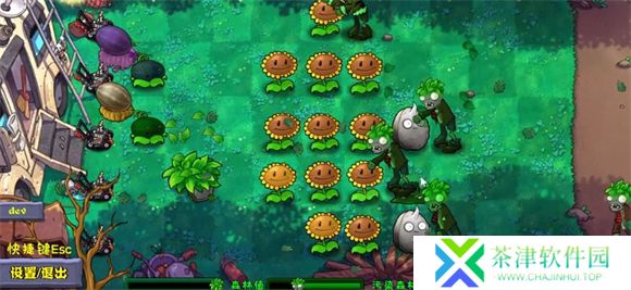 植物大战僵尸自然版