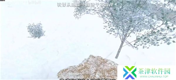 逃离家暴