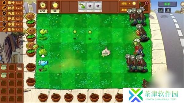 pvz金铲铲版