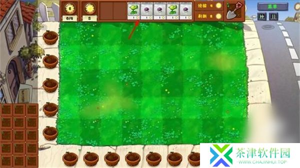 pvz金铲铲版