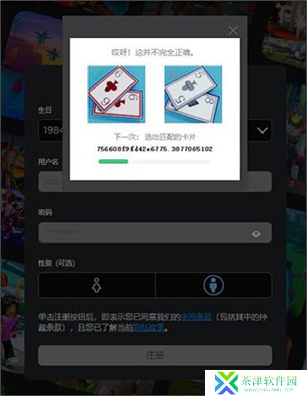 罗布乐思2025