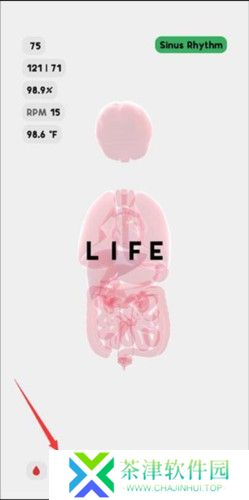 生命life