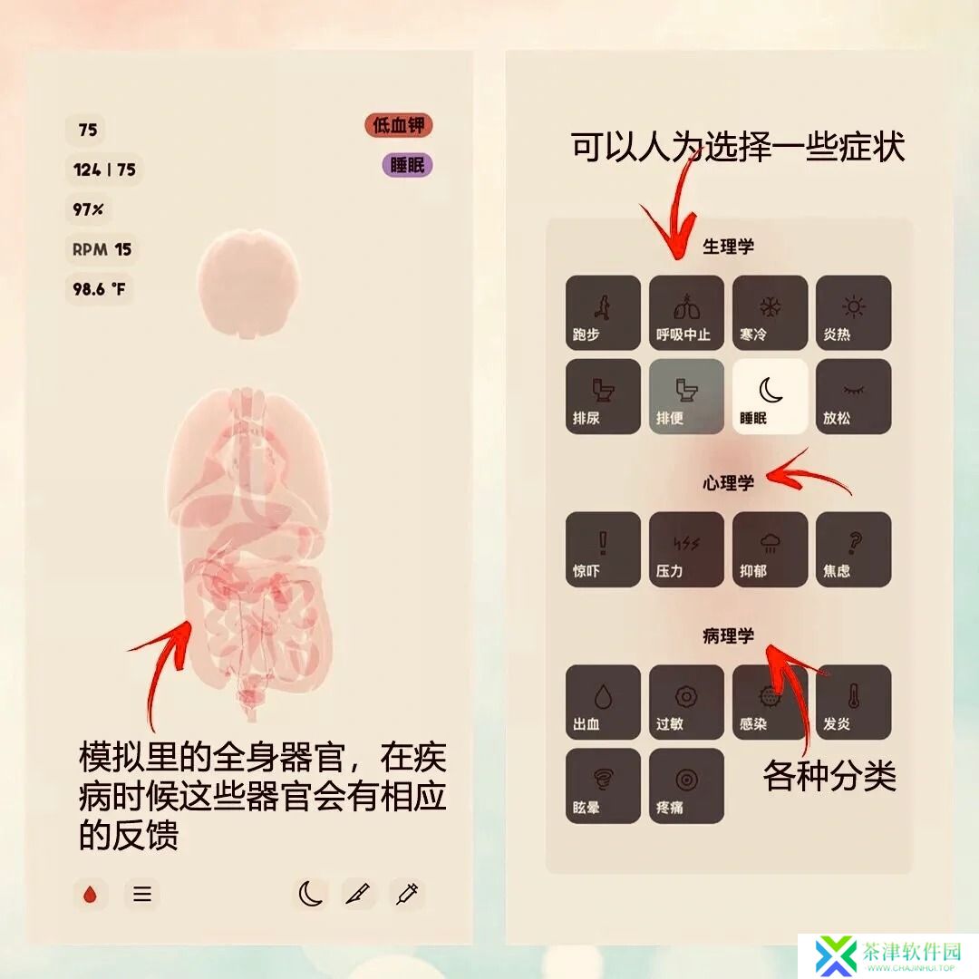 生命life