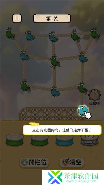 鸡飞蛋不打2025